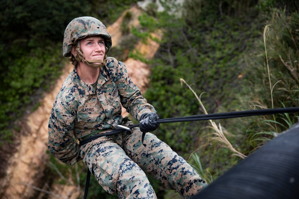 Search and rappel | 3rd MLG Marines participate in rappel courses during jungle warfare training