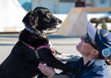 Coast Guard Cutter Valiant crew returns home following counter-drug patrol in the Caribbean Sea