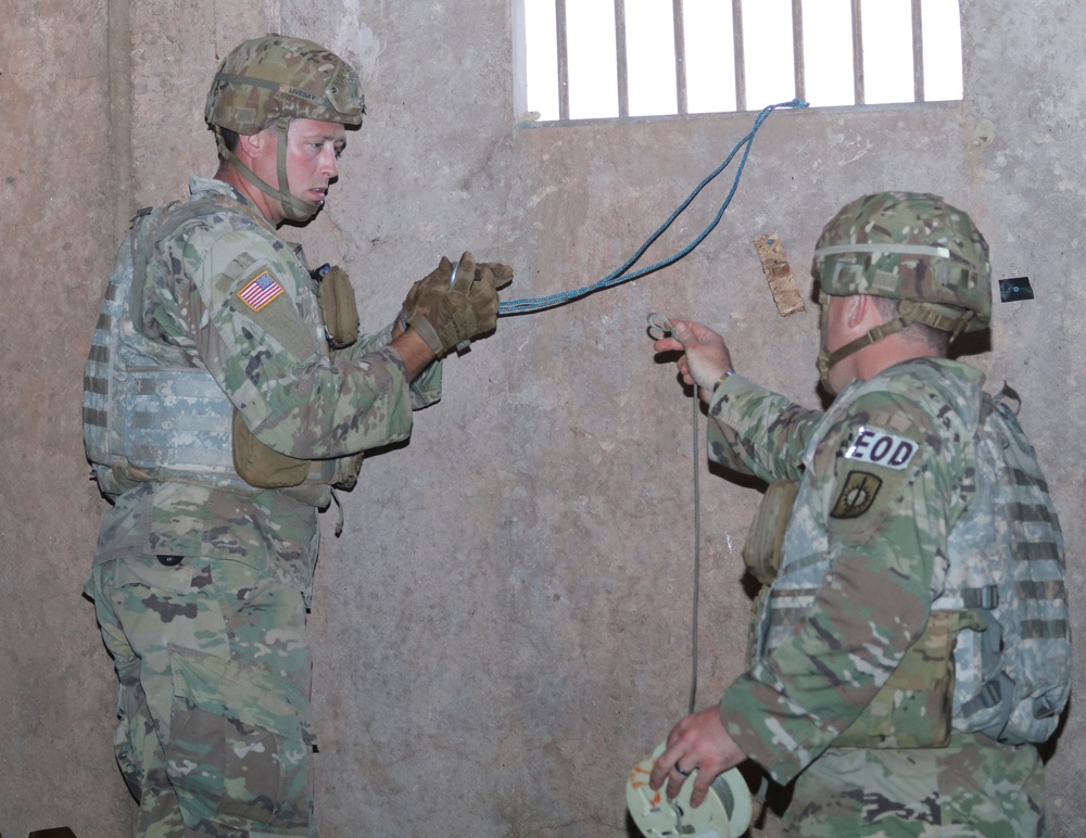 USARPAC host EOD competition, top team identified