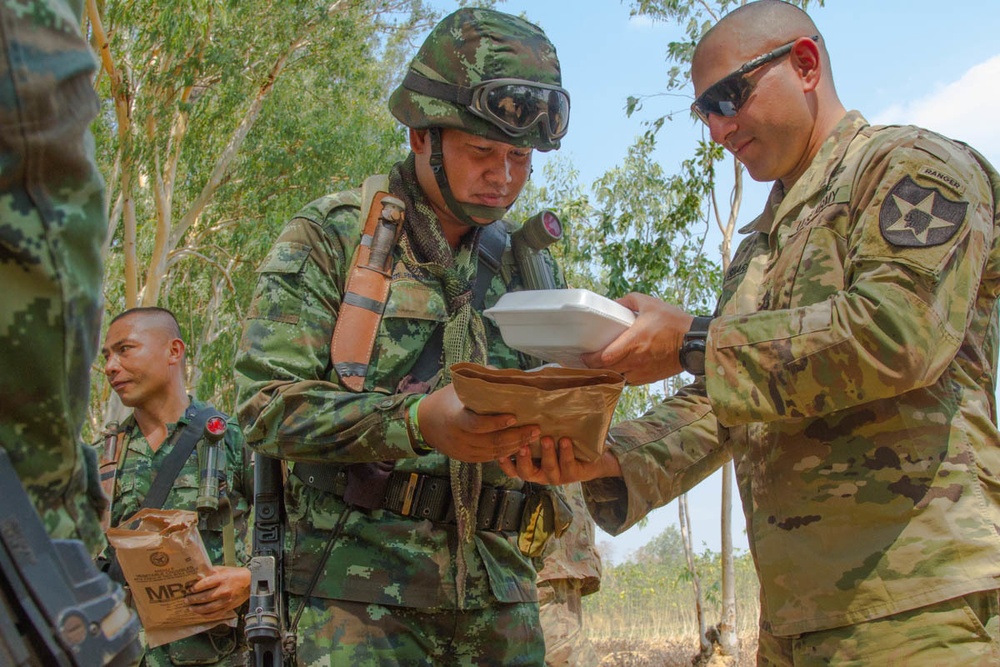 U.S. Army and Royal Thai Army soldiers conduct squad level training in Eastern Thailand