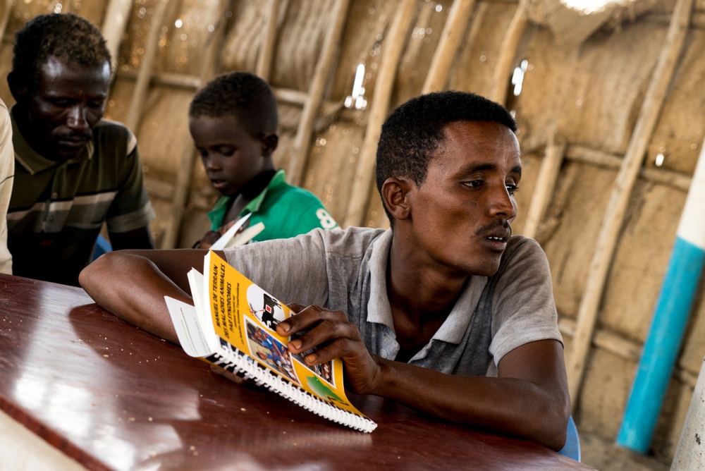 U.S. Army Veterinarians Promote Livestock Health In Rural Djibouti