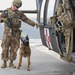 Military working dogs prepare to fly