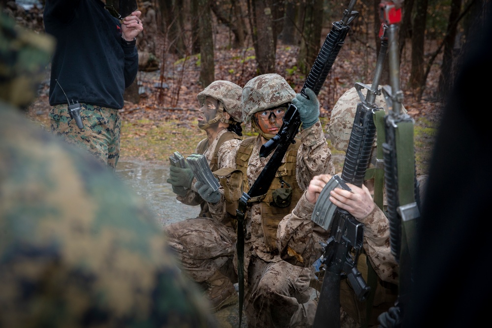 Dvids - Images - Ocs Delta Company-ftx 1 [image 2 Of 6]