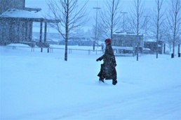 Snowy Day at Fort McCoy -- Jan. 28, 2019