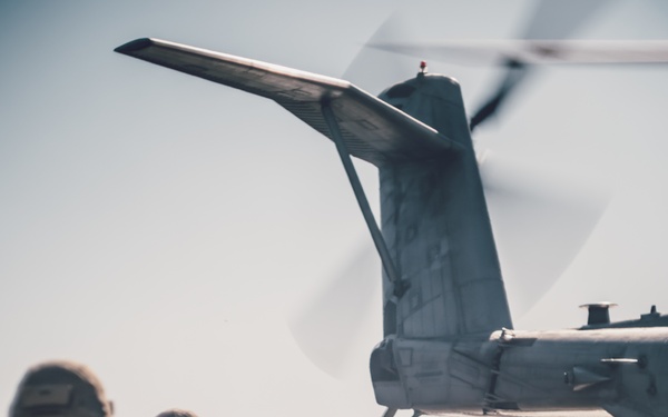 BLT 3/5 Helicopter Raid