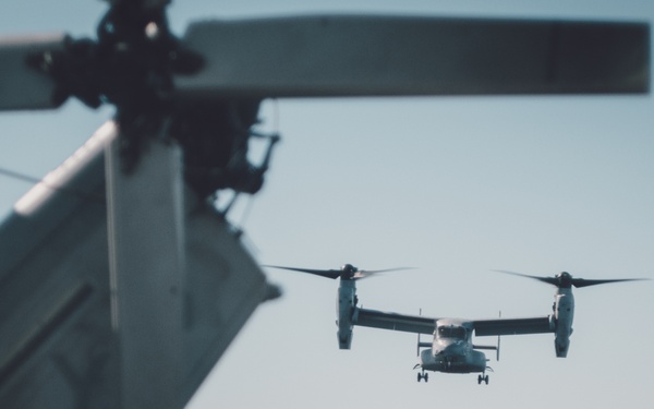 BLT 3/5 Helicopter Raid