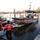 A U.S. Coast Guard vessel numbered 26117 is being launched or retrieved at a boat ramp on a river. A Coast Guard personnel in an orange survival suit stands near a 4x4 pickup truck with a boat trailer in the water. Two additional crew members are visible aboard the vessel, which displays the Coast Guard racing stripe insignia and flies an American flag.