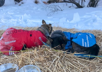 Guardsmen engage with western Alaskans during sled dog race