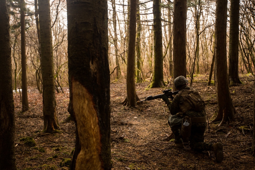 Sierra Battery conducts infantry training during Fuji HIMARS