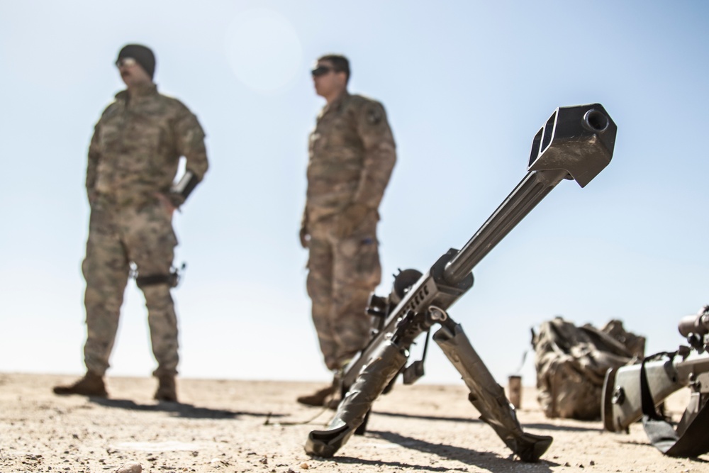 Task Force Spartan Snipers Take to the Skies