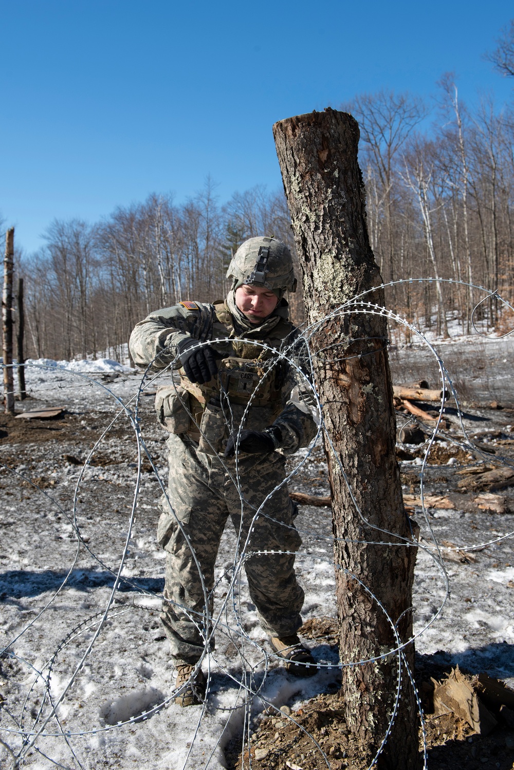 Combat Engineers Train