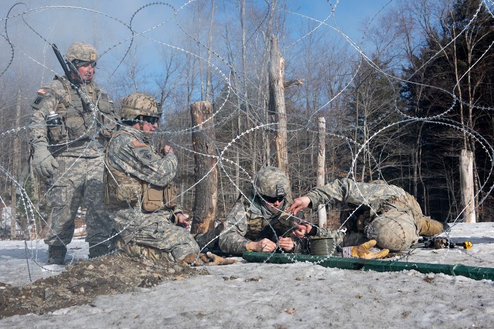 Combat Engineers Train