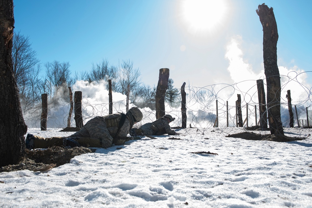 Combat Engineers Train