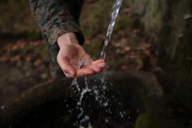 India Company Visits Belleau Wood
