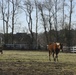 Horse Farm