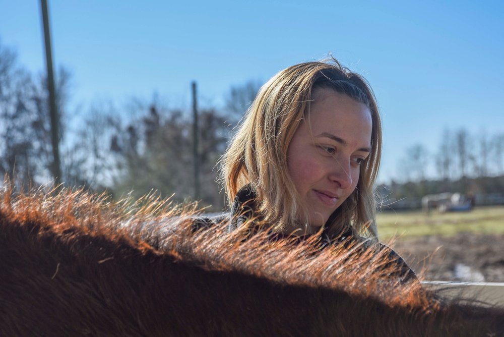 Horse Farm