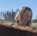 Horse Farm