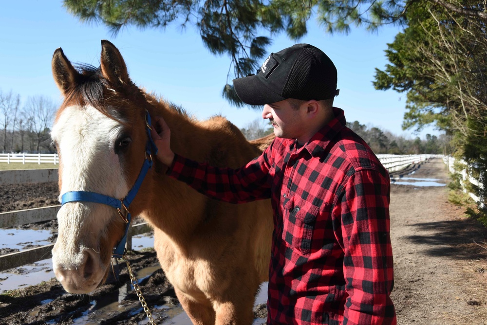 Horse Farm