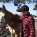 Horse Farm