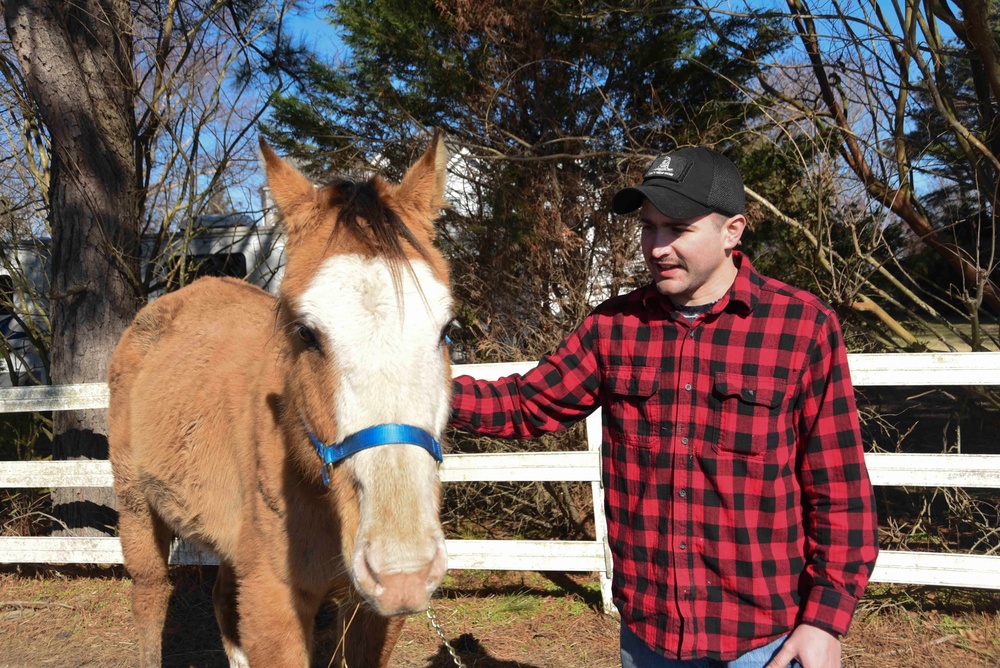 Horse Farm