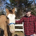 Horse Farm