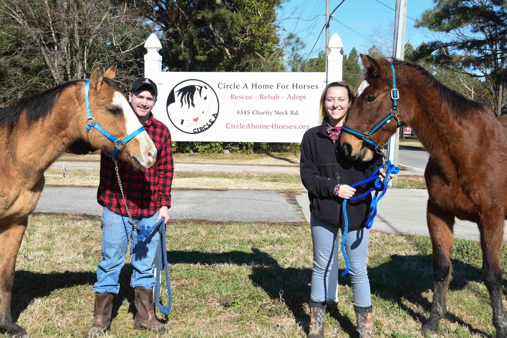 Horse Farm