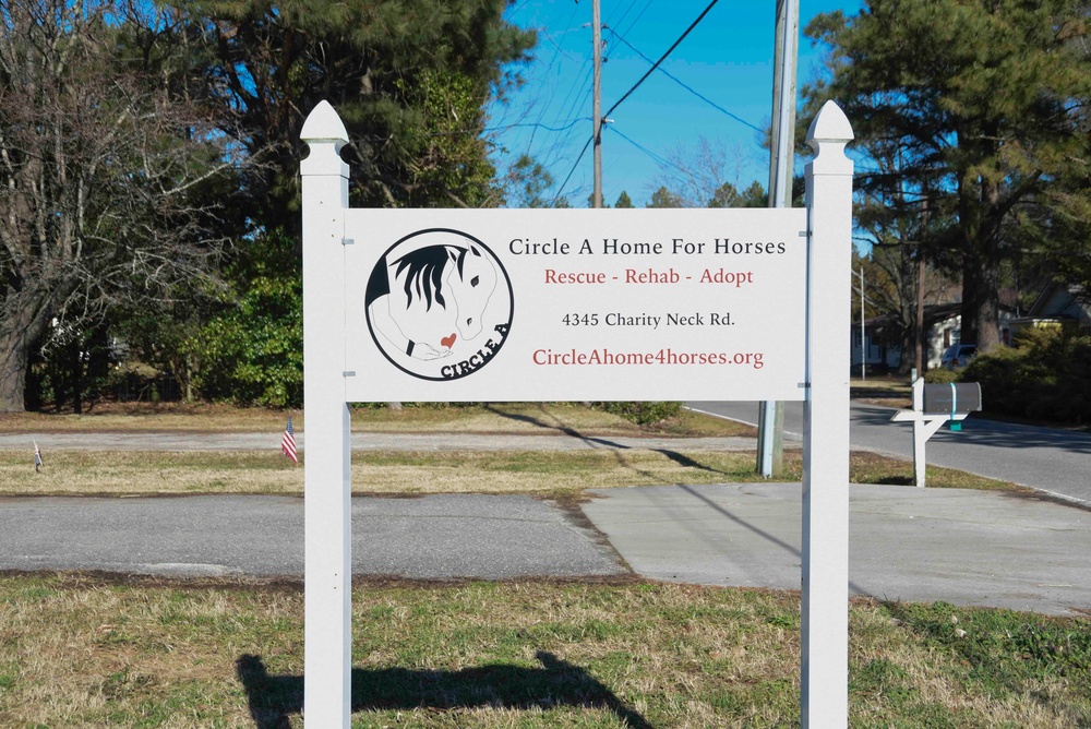 Horse Farm