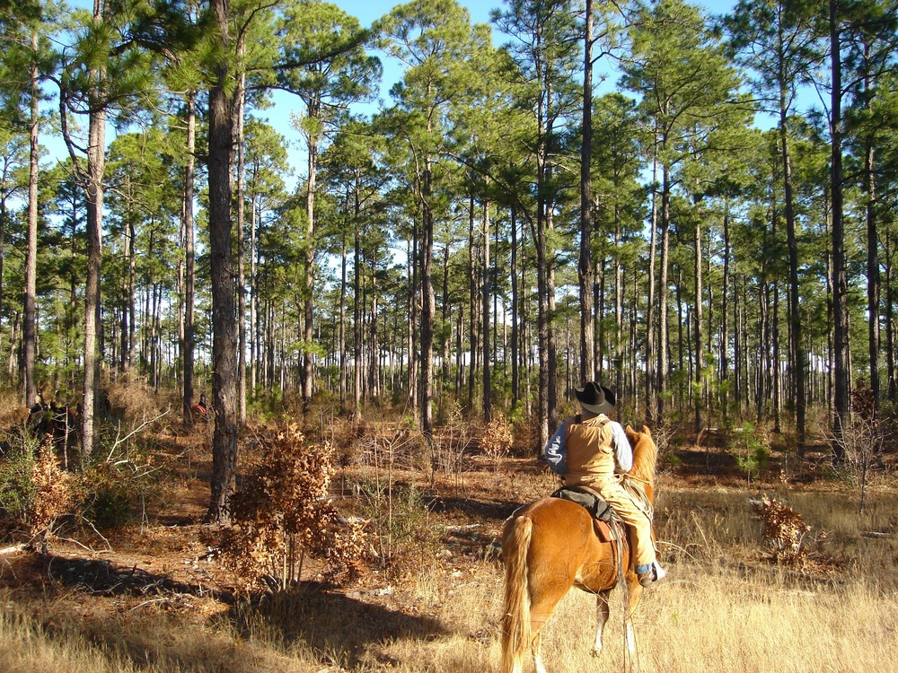 Fort Jackson has a new system to help keep people, land safe