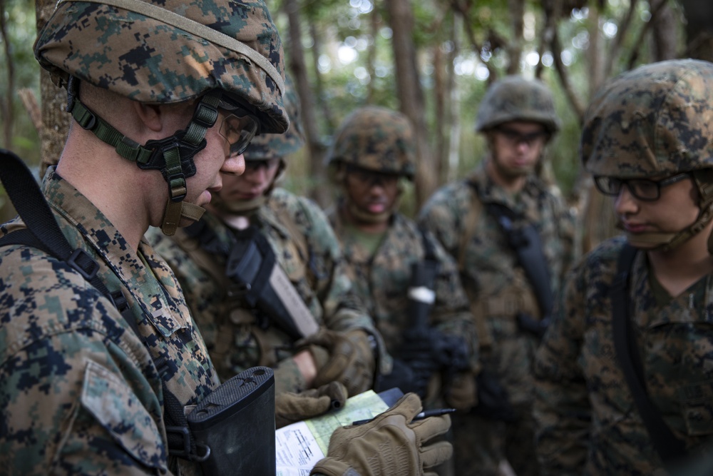 Search the jungle | 3rd MLG Marines patrol at jungle warfare training