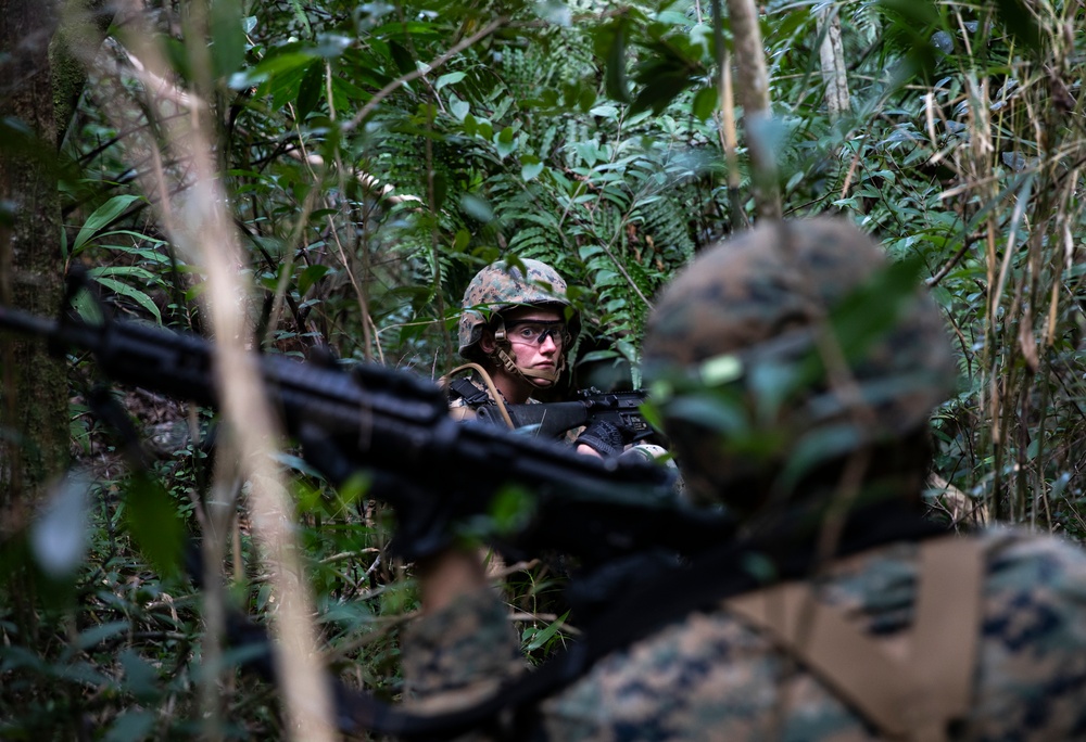 Search the jungle | 3rd MLG Marines patrol through the jungle during jungle warfare training