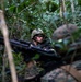 Search the jungle | 3rd MLG Marines patrol through the jungle during jungle warfare training
