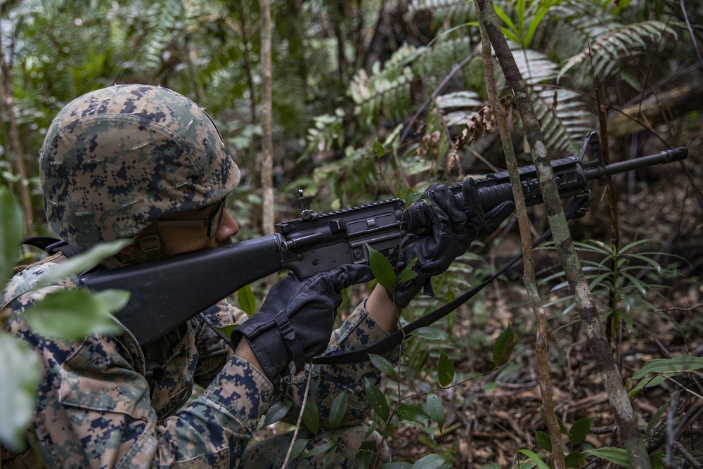 Search the jungle | 3rd MLG Marines patrol during jungle warfare training