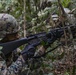Search the jungle | 3rd MLG Marines patrol during jungle warfare training