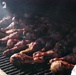 184th SC Super Bowl LIII Cookout