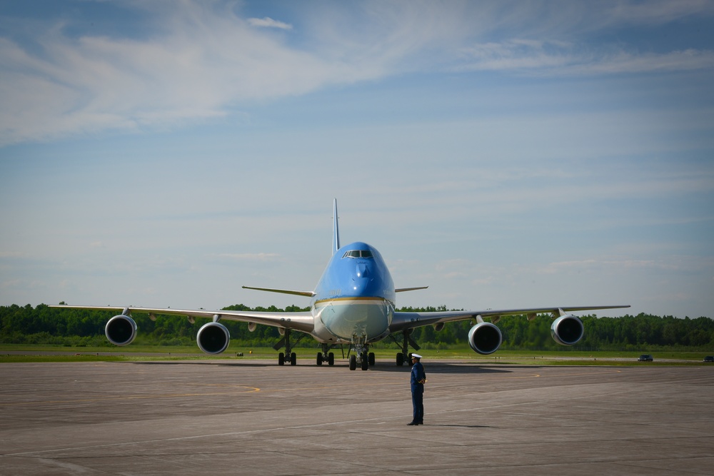 Big Blue Bird