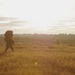 Panther Paratroopers Conduct Sunset Static Line Jump