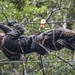 The final test | 3rd MLG Marines take on endurance course during jungle warfare training