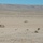 fort irwin