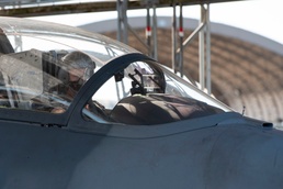 Contracted aggressors provide new opportunities