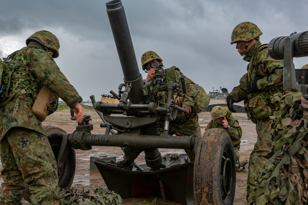 U.S. Marines and Sailors, and Japan Ground Self-Defense Force Soldiers perform amphibious landing exercise during Iron Fist 2019