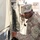 98th Expeditionary Signal Battalion conducts Validation Exercise