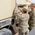 98th Expeditionary Signal Battalion conducts Validation Exercise
