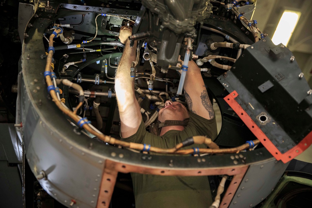 Osprey Maintenance