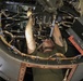 Osprey Maintenance