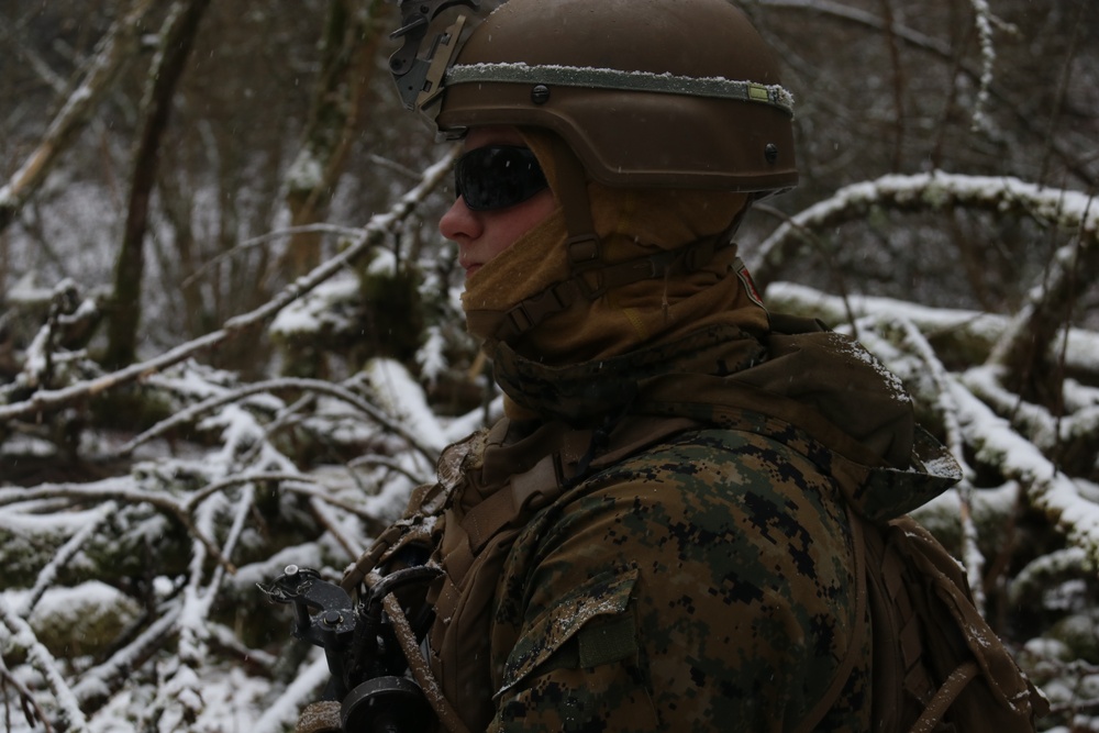 Cold Is Just a State of Mind