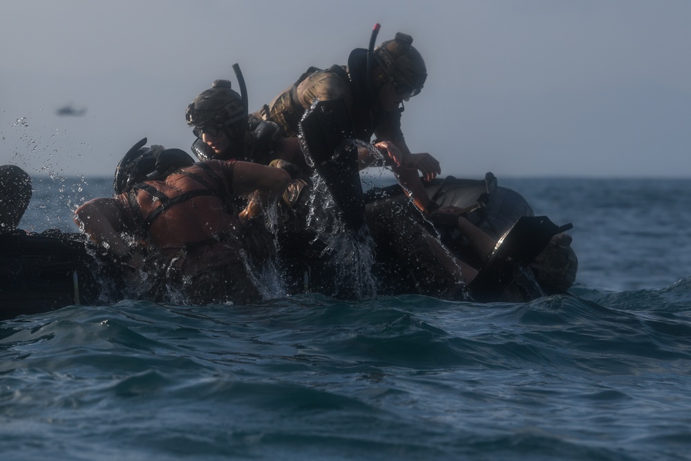 Combined Joint Task Force - Horn of Africa (CJTF-HOA)