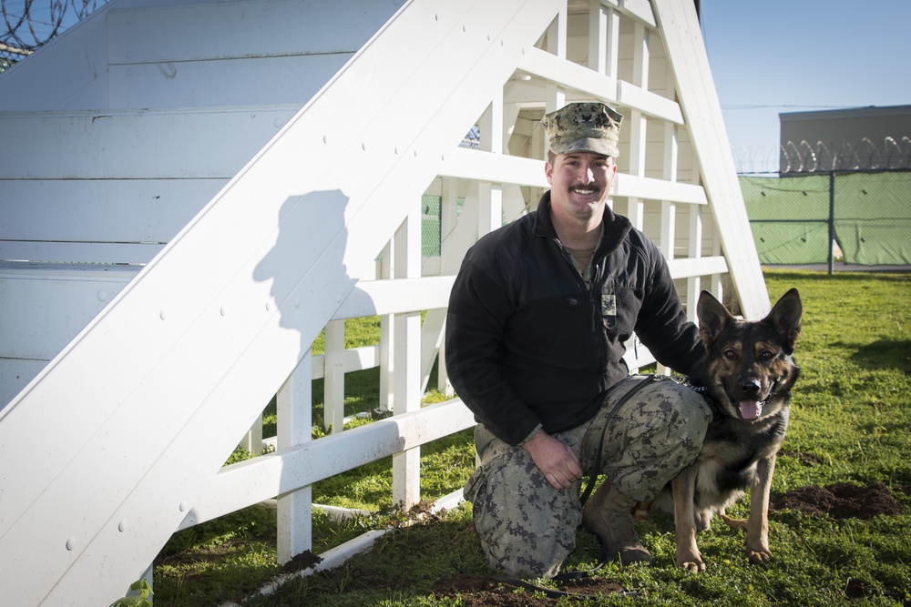 NAVSTA Rota's Military Working Dogs