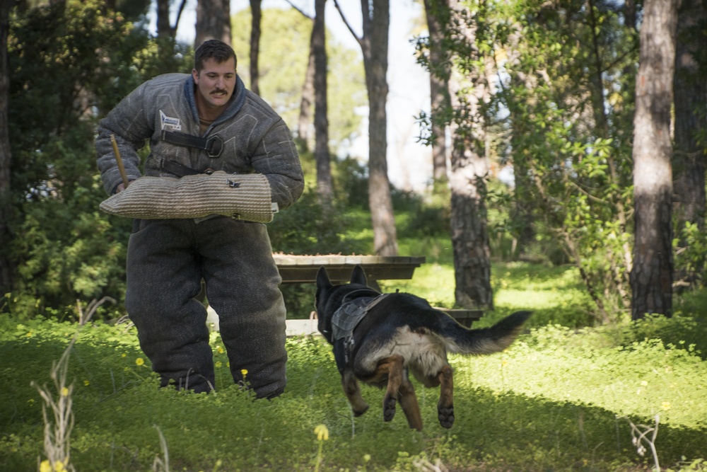 NAVSTA Rota's Military Working Dogs