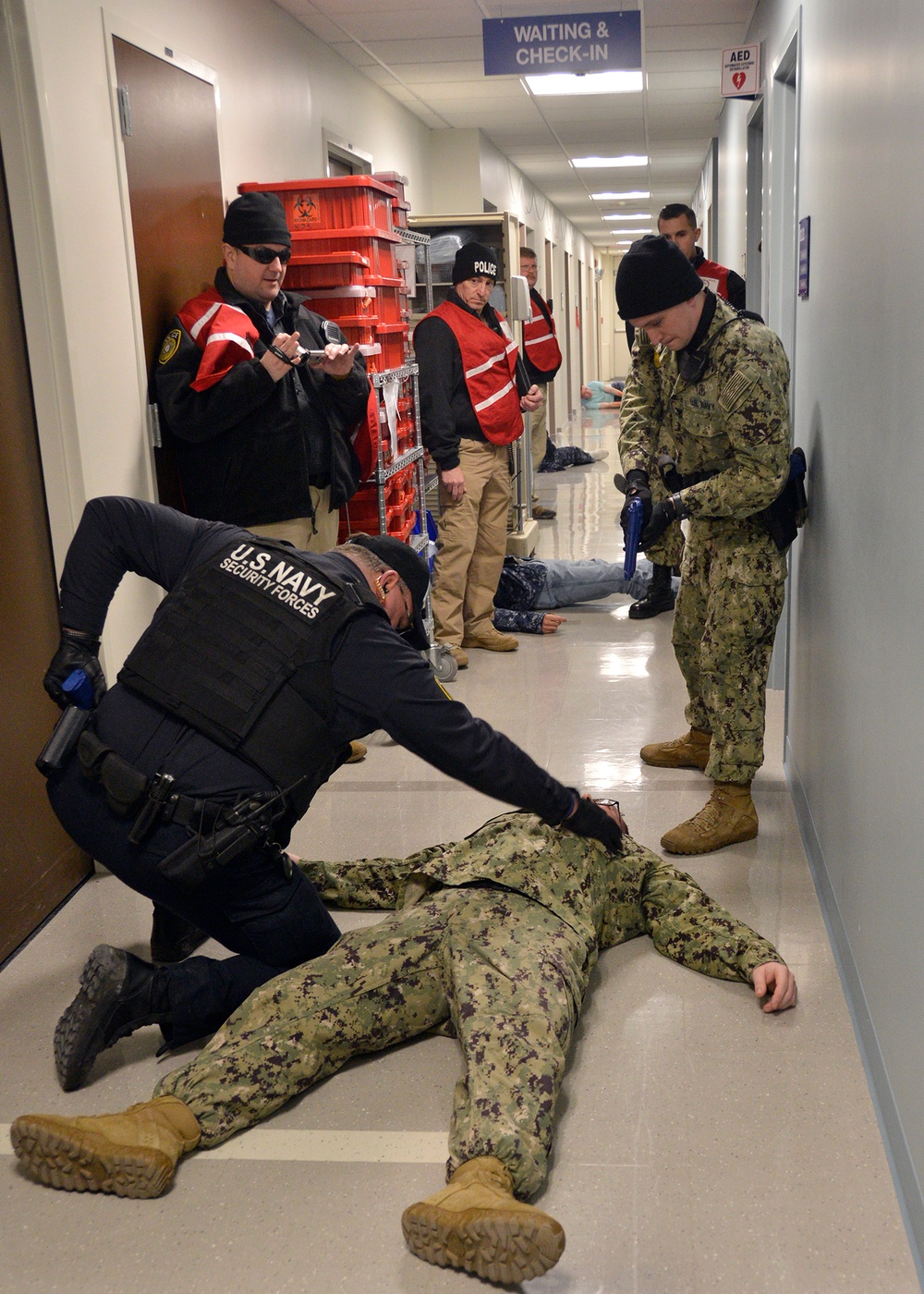 Exercise Citadel Shield-Solid Curtain 2019