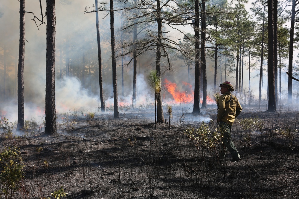 Camp Lejeune feels the burn